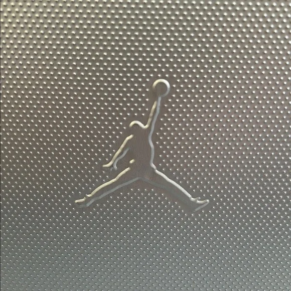 Air Jordan Metallic Silver Carrying Case - Picture 3 of 6